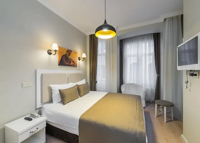 ホテル Ada Home's Taksim イスタンブール